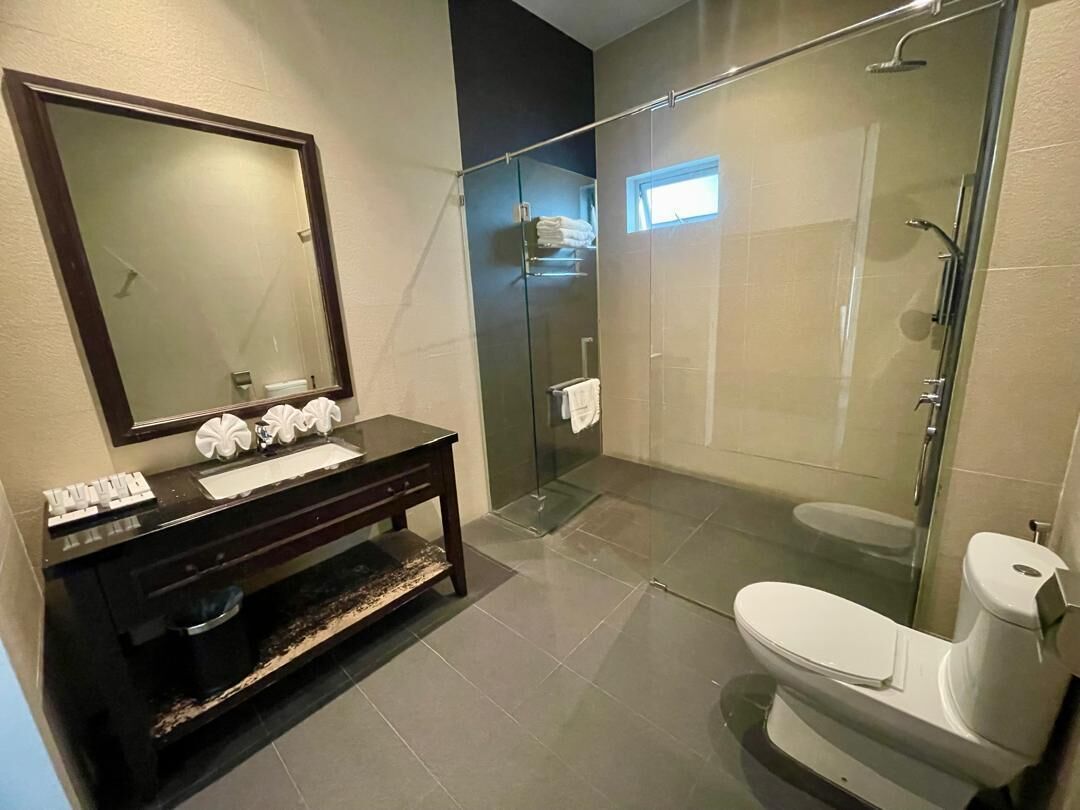 A modern bathroom with a glass-enclosed shower, a toilet, a vanity with a mirror, and a sink.