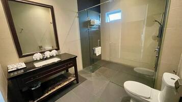 A modern bathroom with a glass-enclosed shower, a toilet, a vanity with a mirror, and a sink.