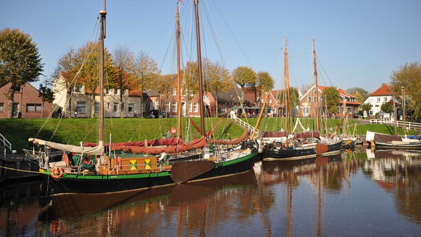 A row of traditional sailing boats docked at a harbor with houses in the background.