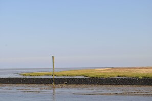 Photo non classée, 3 sur 16, bouton