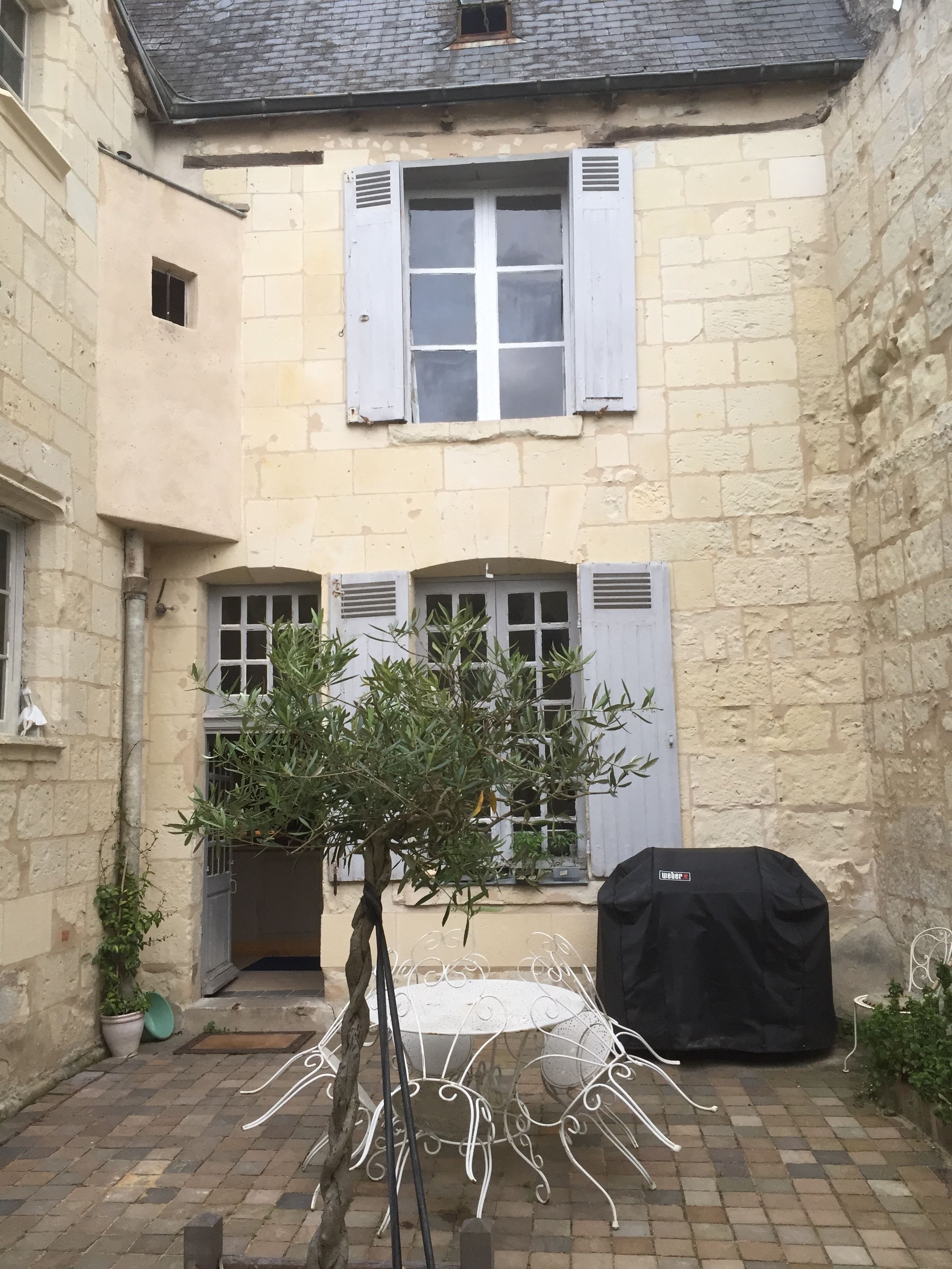 Une cour avec un arbre, des sièges extérieurs et un barbecue couvert.