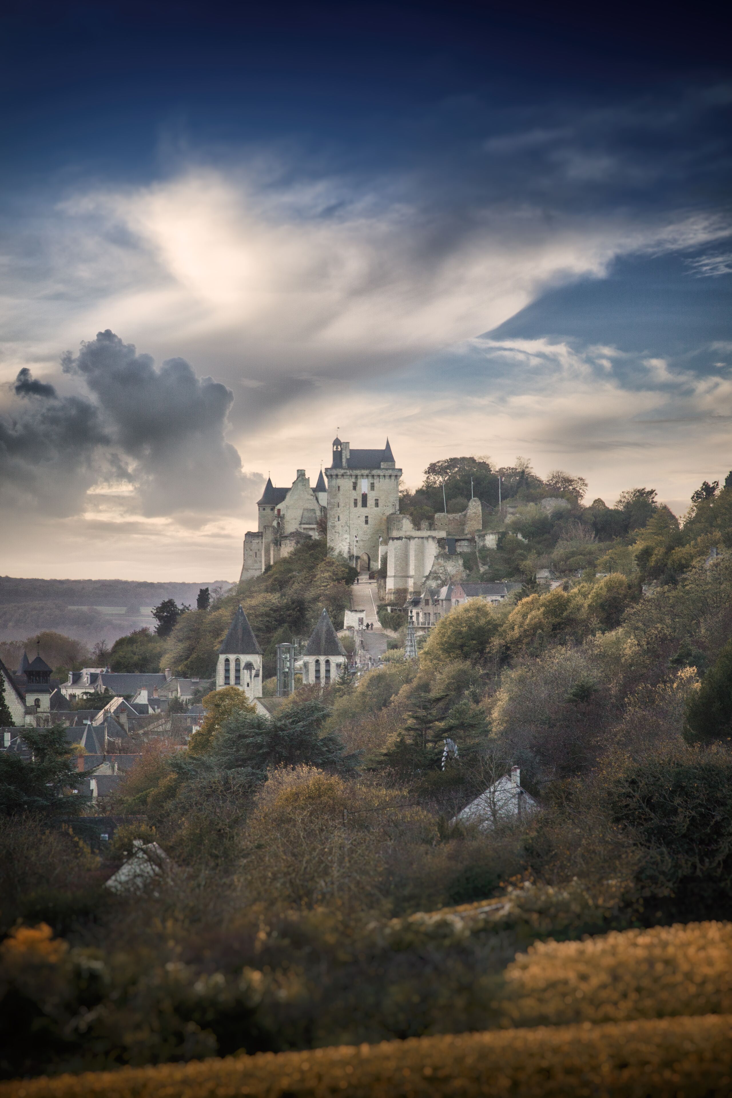A castle on a hill with surrounding buildings and trees.