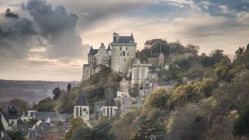 A castle on a hill with surrounding buildings and trees.