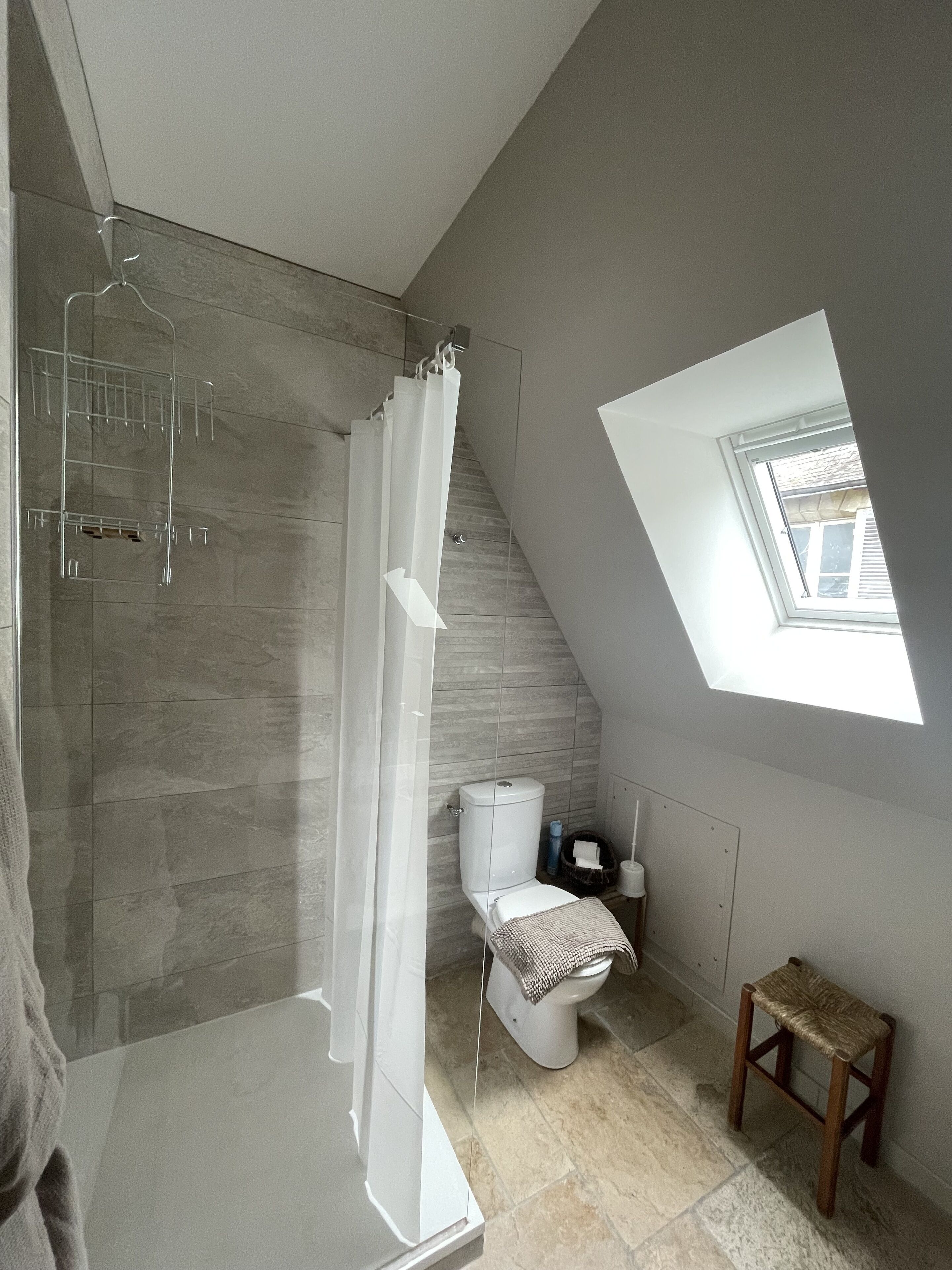 A modern bathroom with a shower, toilet, and a skylight.