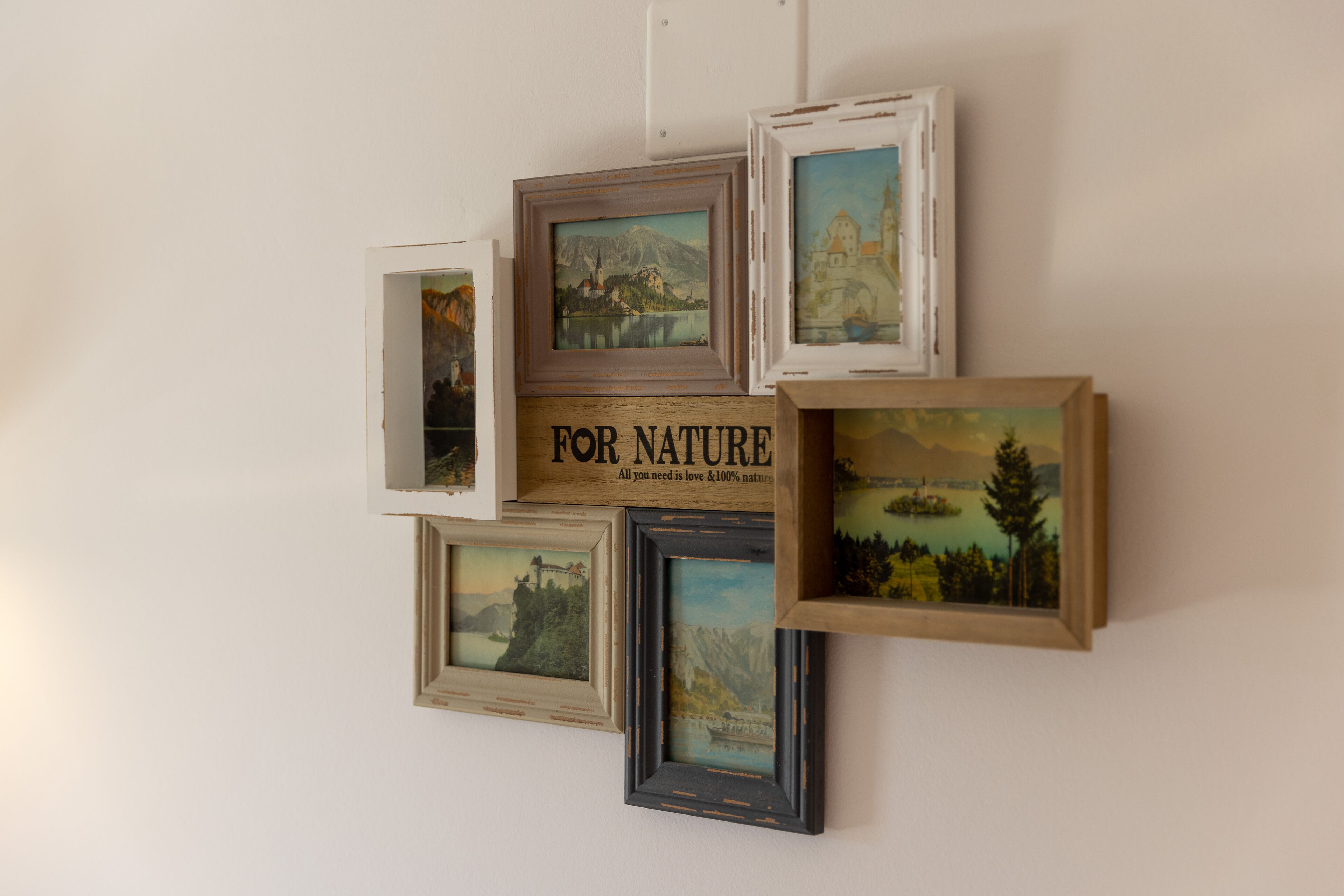 Eine Wand mit mehreren gerahmten Landschaftsbildern und einem Schild mit der Aufschrift 'FOR NATURE'.