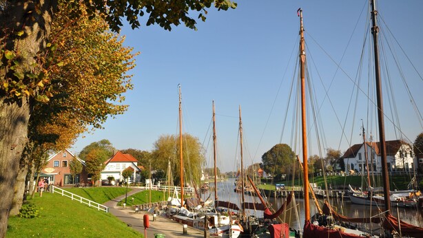 Marina a orillas del río con barcos amarrados, un sendero y edificios al fondo.