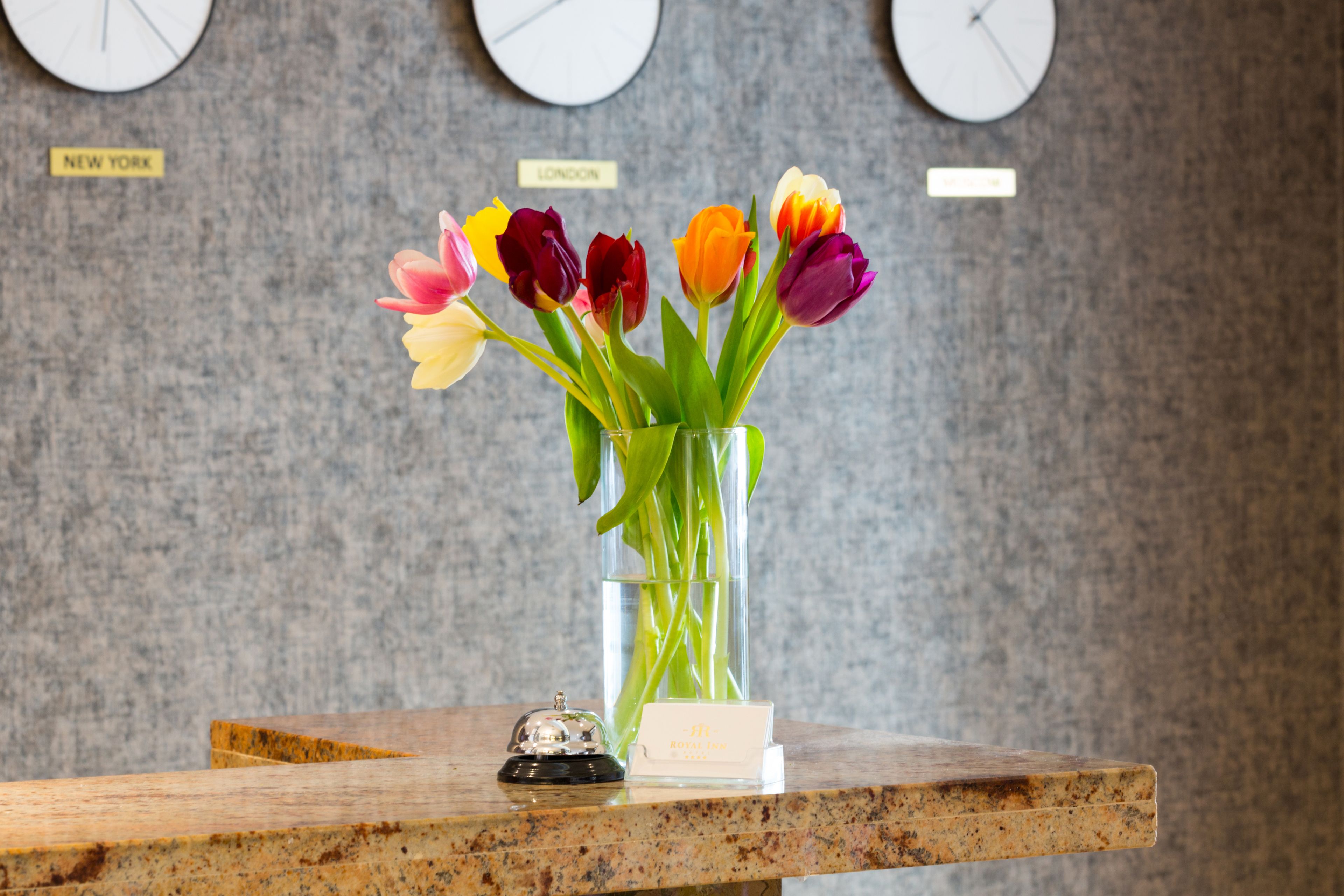 Photo - Hotel Royal Inn