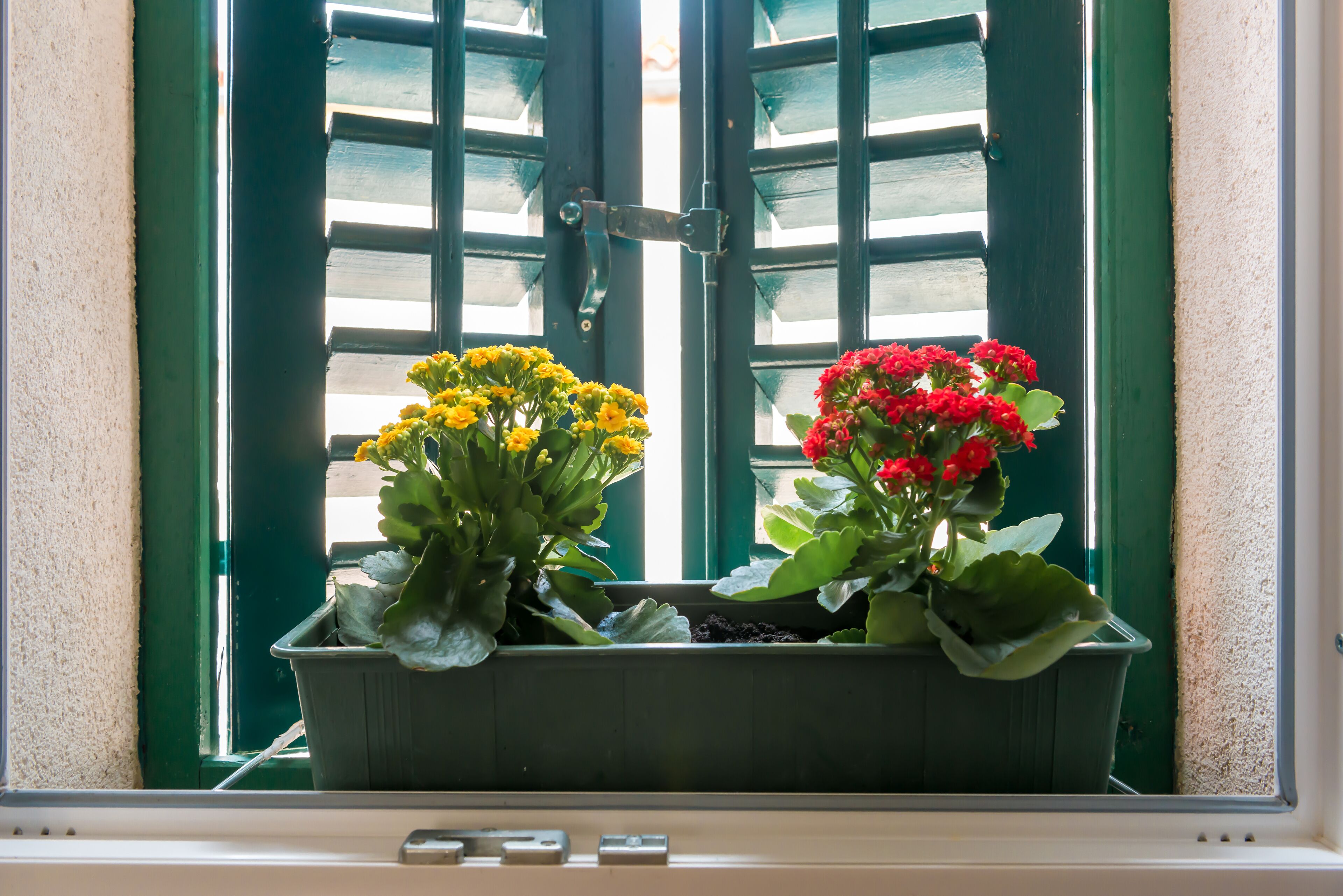 Foto - Guesthouse Imperator