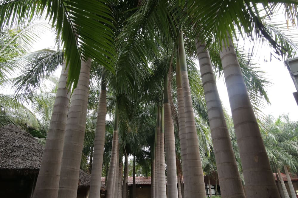 Hotel Hampi International
