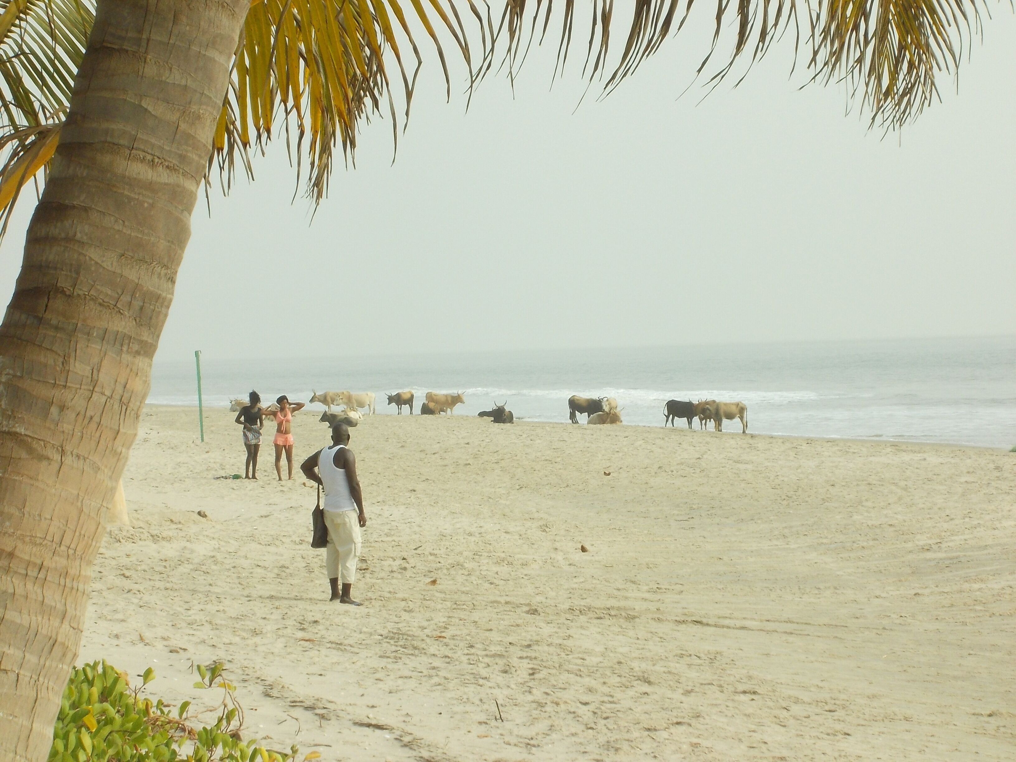 Nær stranden og strandhåndklær