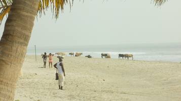 Plage à proximité, serviettes de plage