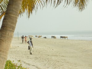 Beach nearby, beach towels