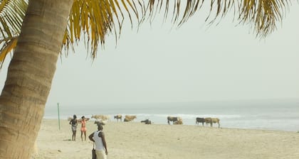 3-room garden apartment 2.5km from the beach