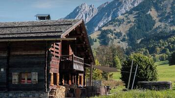 A rustic wooden cabin with a balcony, surrounded by a lush green landscape and mountains in the background.
