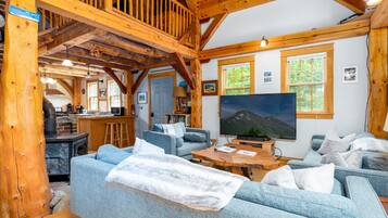 TV connectée, cheminée, jeux vidéo, lecteur de DVD