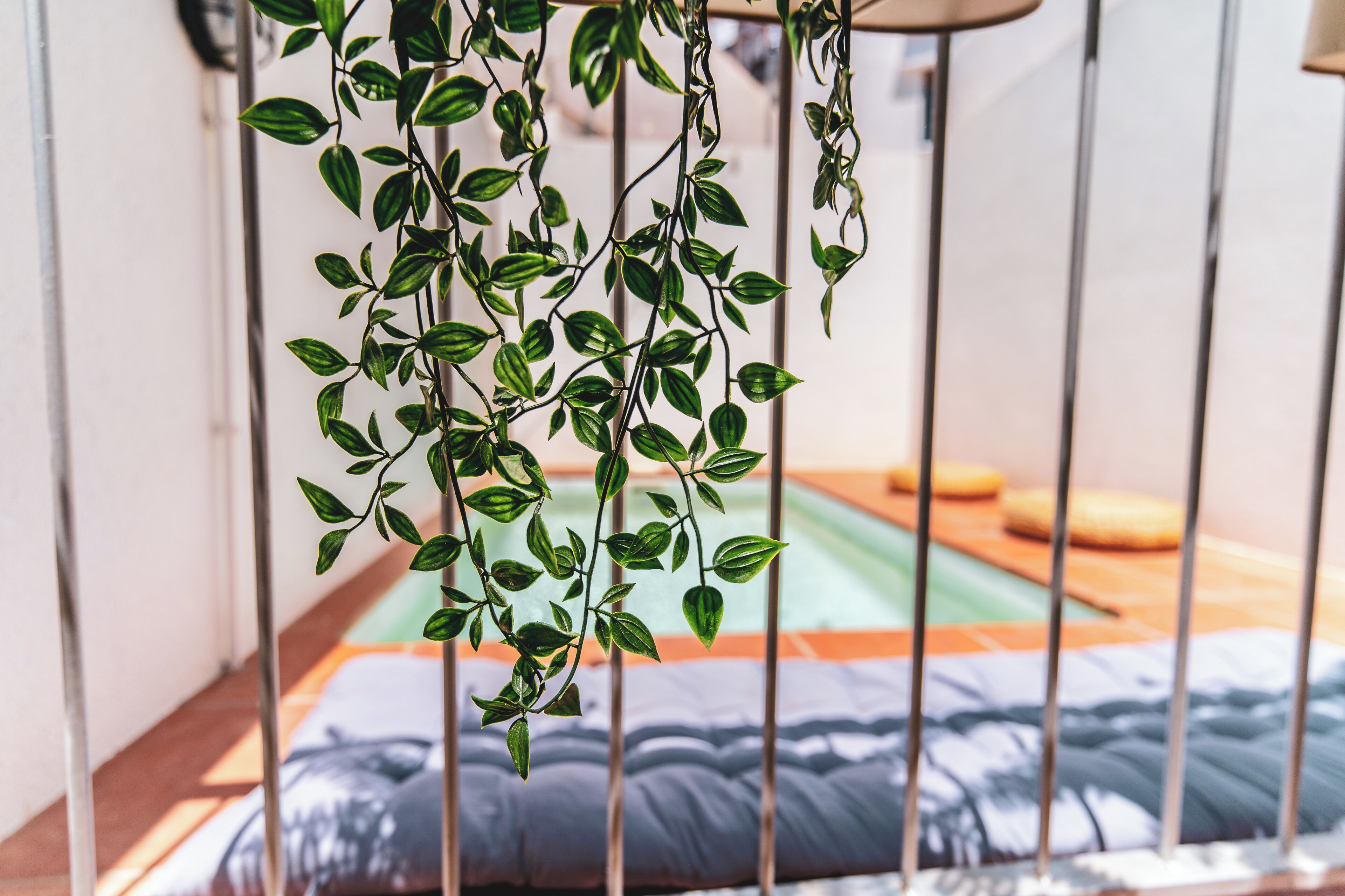 2 piscinas al aire libre, sombrillas, sillones reclinables de piscina