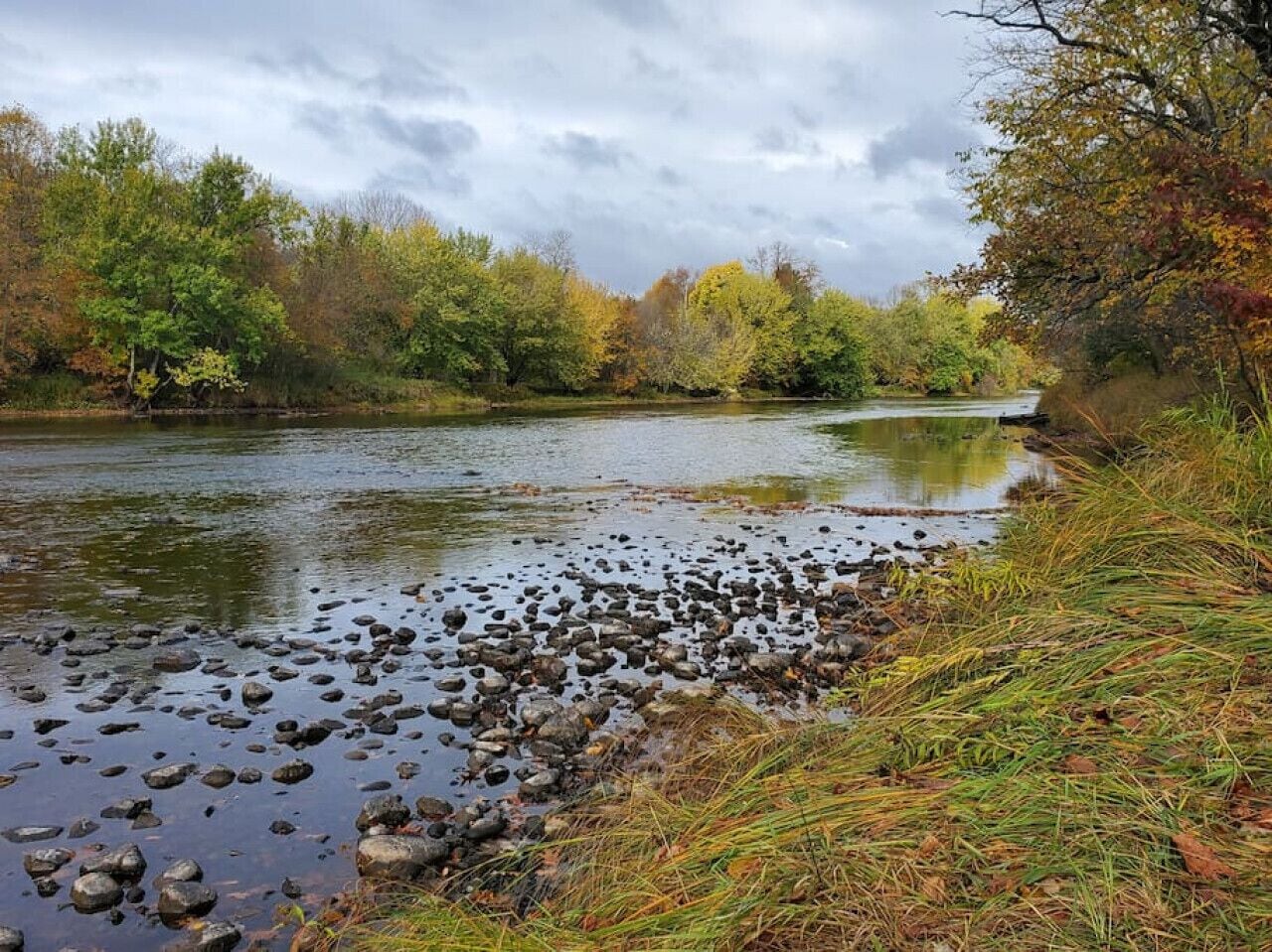 Un río con orilla rocosa y árboles al fondo.