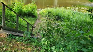 A wooden staircase leading down to a riverbank, surrounded by lush greenery and a calm river.
