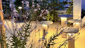 An outdoor seating area with tables and chairs, surrounded by flowering plants and trees, under a night sky.