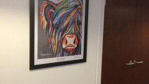 A framed painting of a colorful lion's face on a wall. - Mossie Apartment (Ayr)