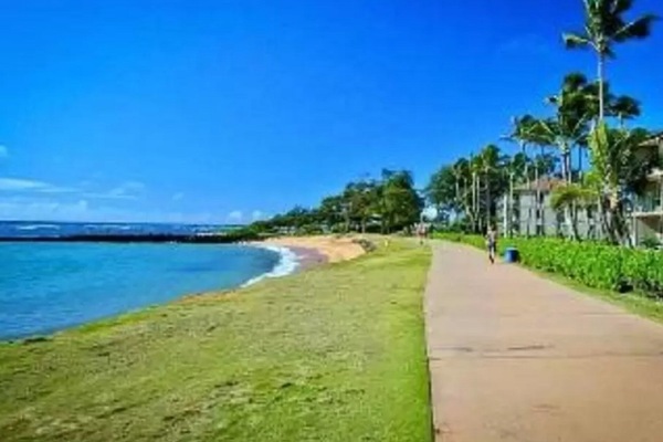Beach nearby, sun loungers