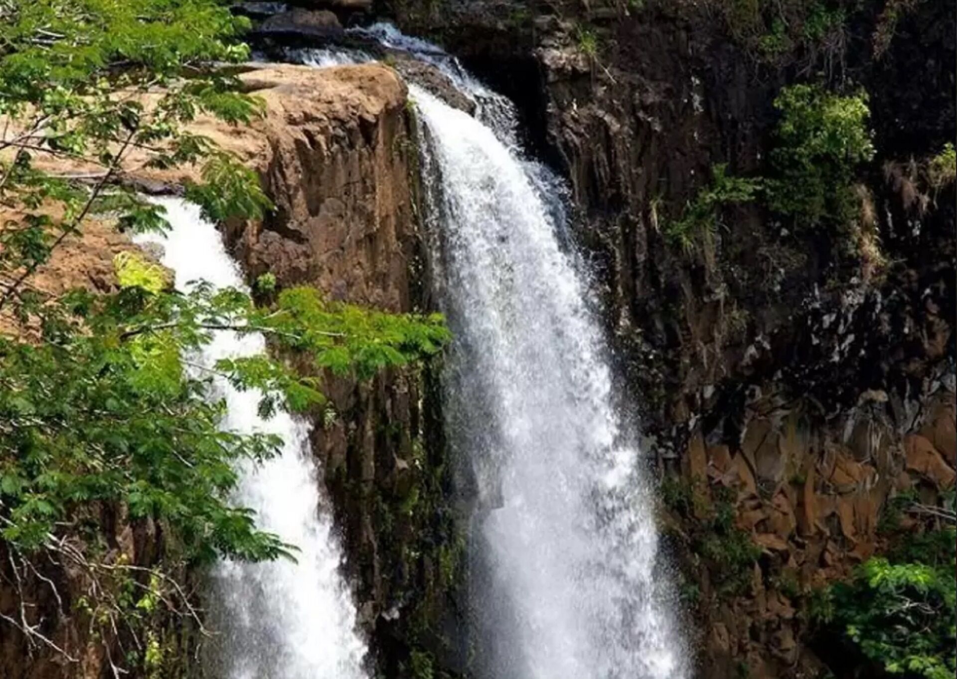 A waterfall cascading down a rocky cliff surrounded by dense foliage.