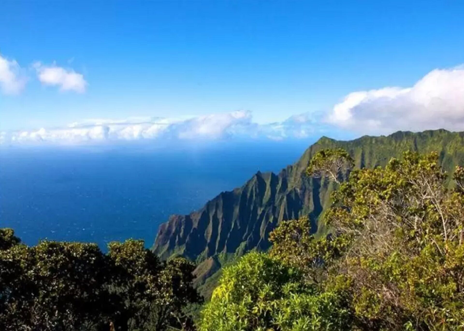Un paysage montagneux, caractérisé par une végétation luxuriante et une vue dégagée sur l’océan.