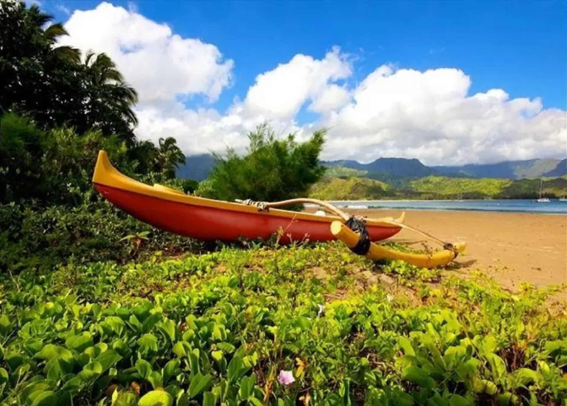 Playa en los alrededores y camastros 