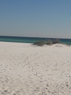 Beach - Casa Blue Jay Beach Home, let it be your vacation home too. (Navarre)