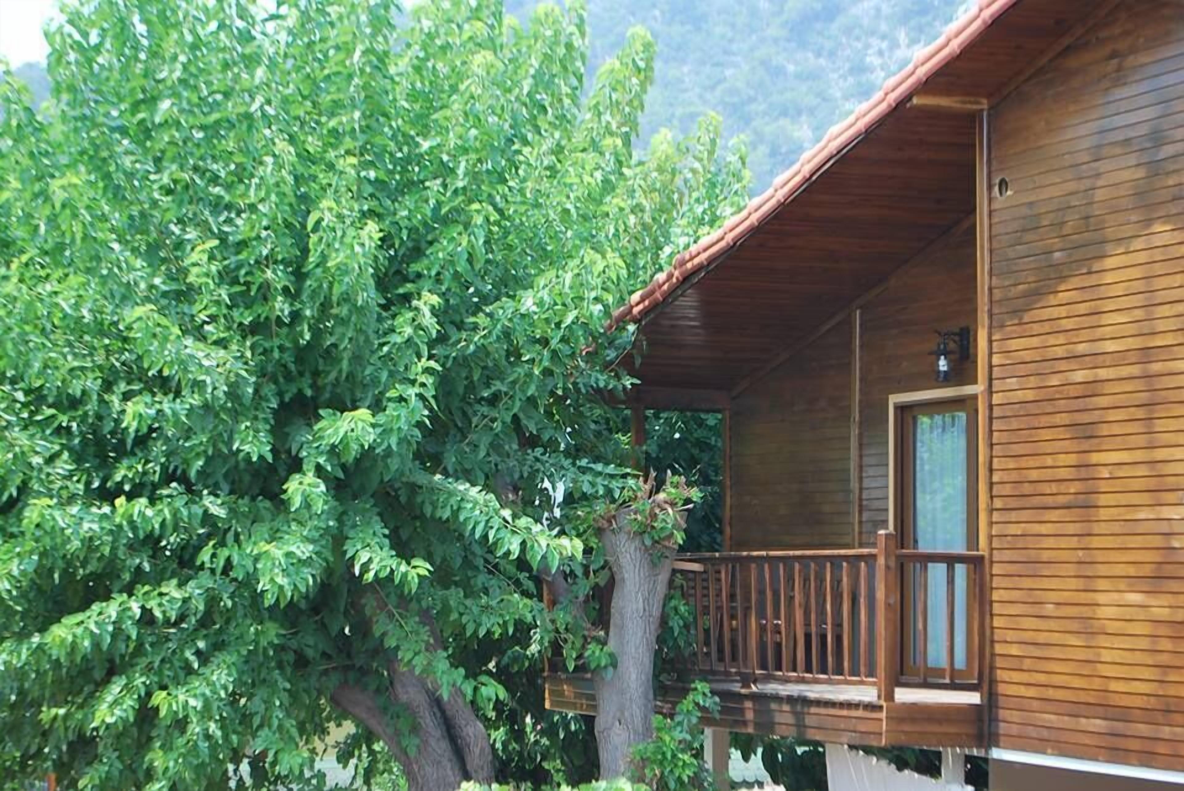 Studio, Kitchen, Garden View | View from room