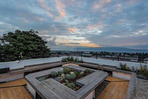 Terrace/patio - Floral Holiday Guesthouse (Dali)
