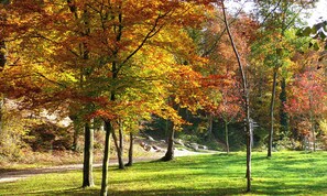 บริเวณภายนอก