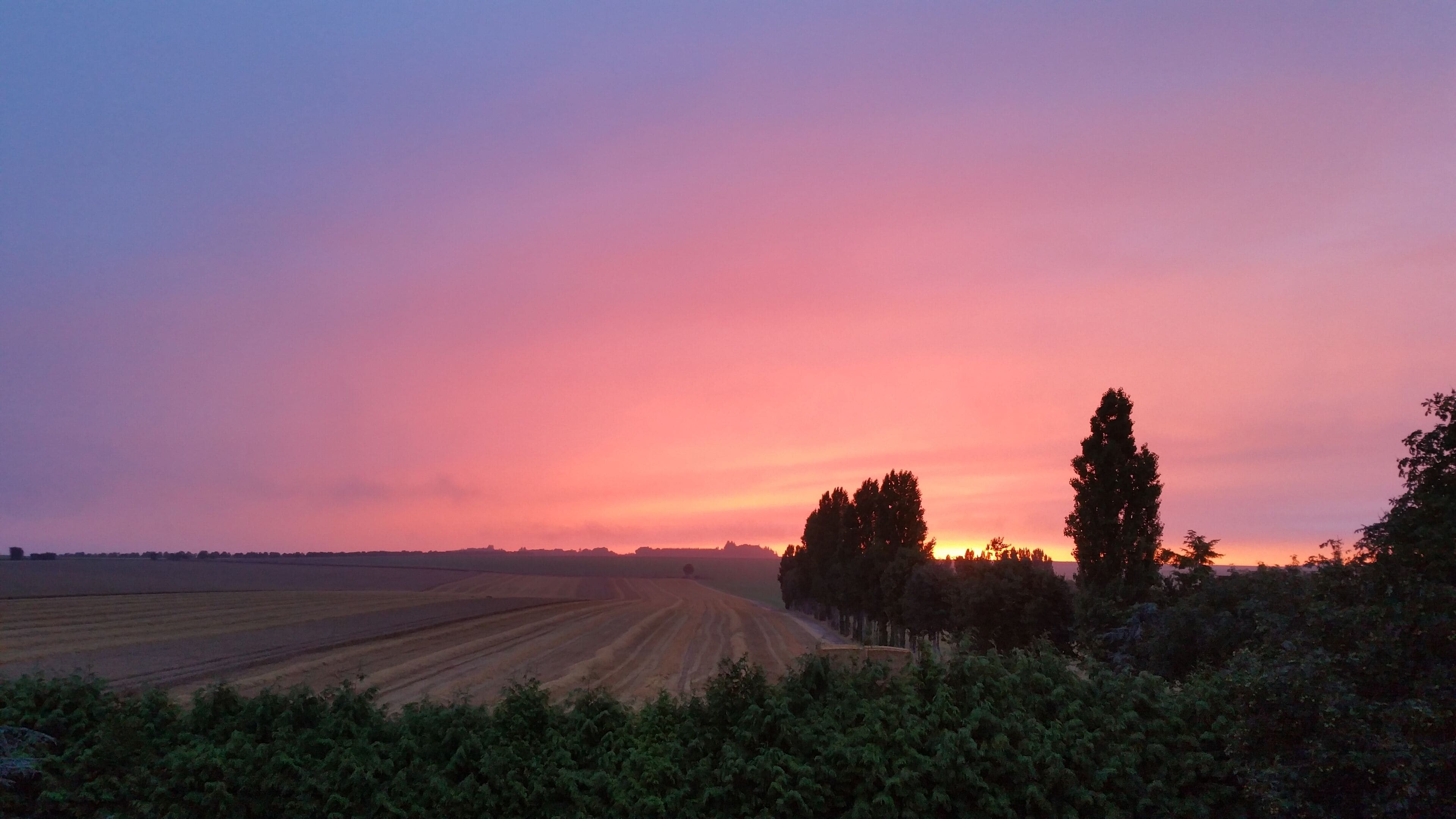 A sunset over a field with trees in the foreground.
