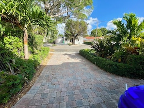 A paved pathway leading to a residential area with houses and lush greenery.
