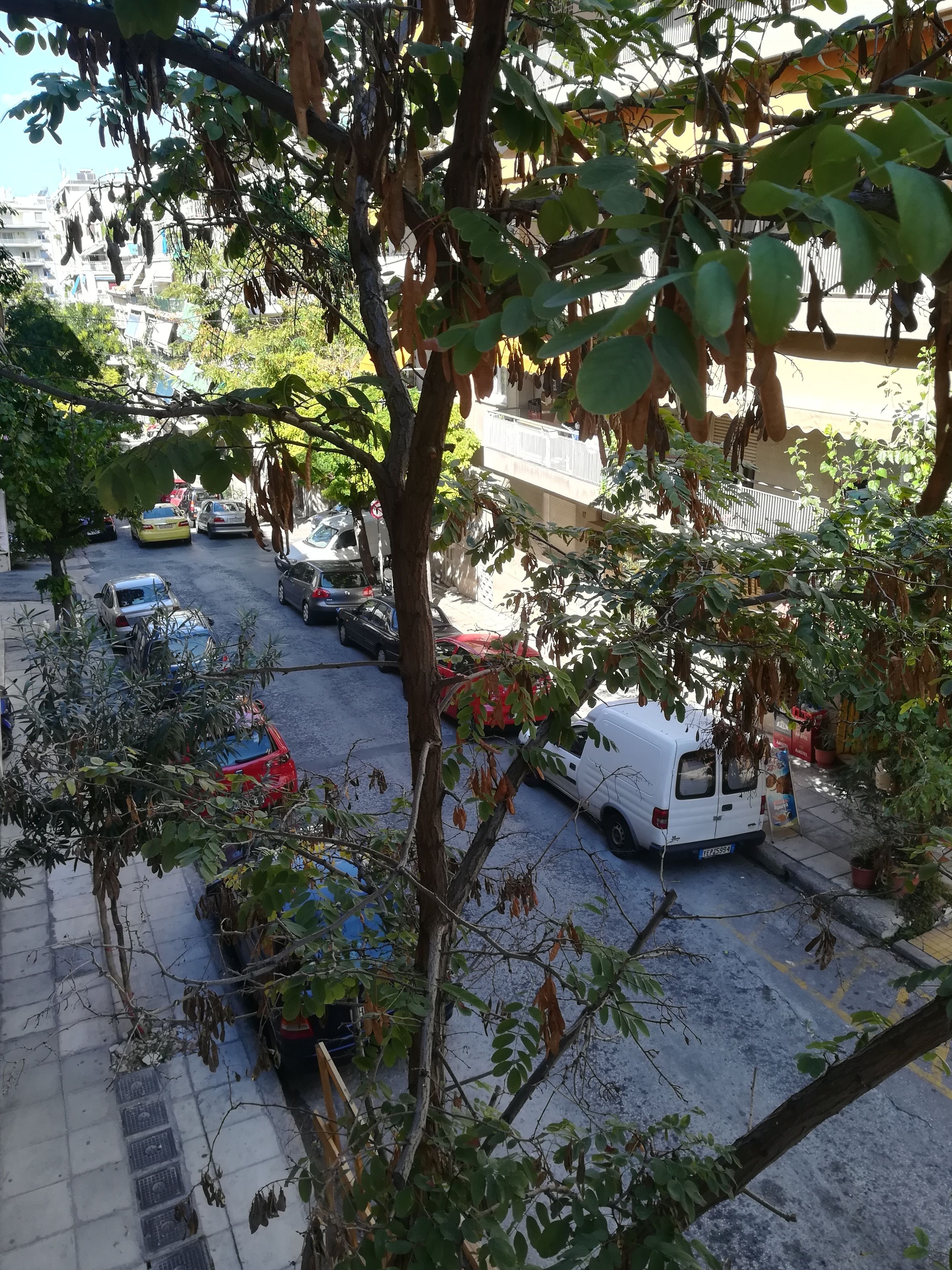 Vista de la calle con coches aparcados y árboles.