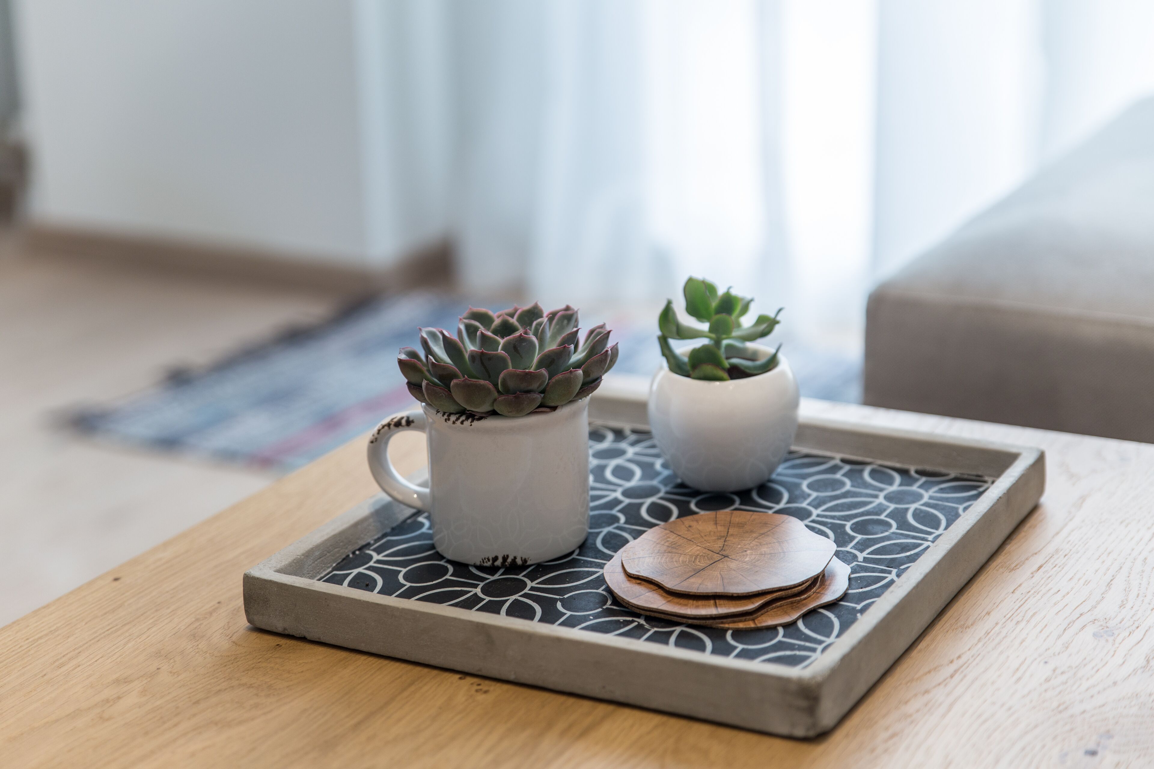 A tray with two potted succulents and wooden coasters on a patterned tray.