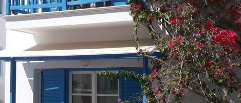 Vista frontal de la propiedad