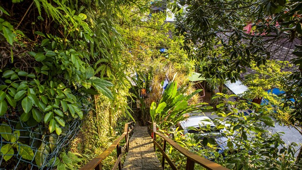 Un escalier en bois, entouré d’une végétation luxuriante, mène à un bâtiment dont le toit est rouge.