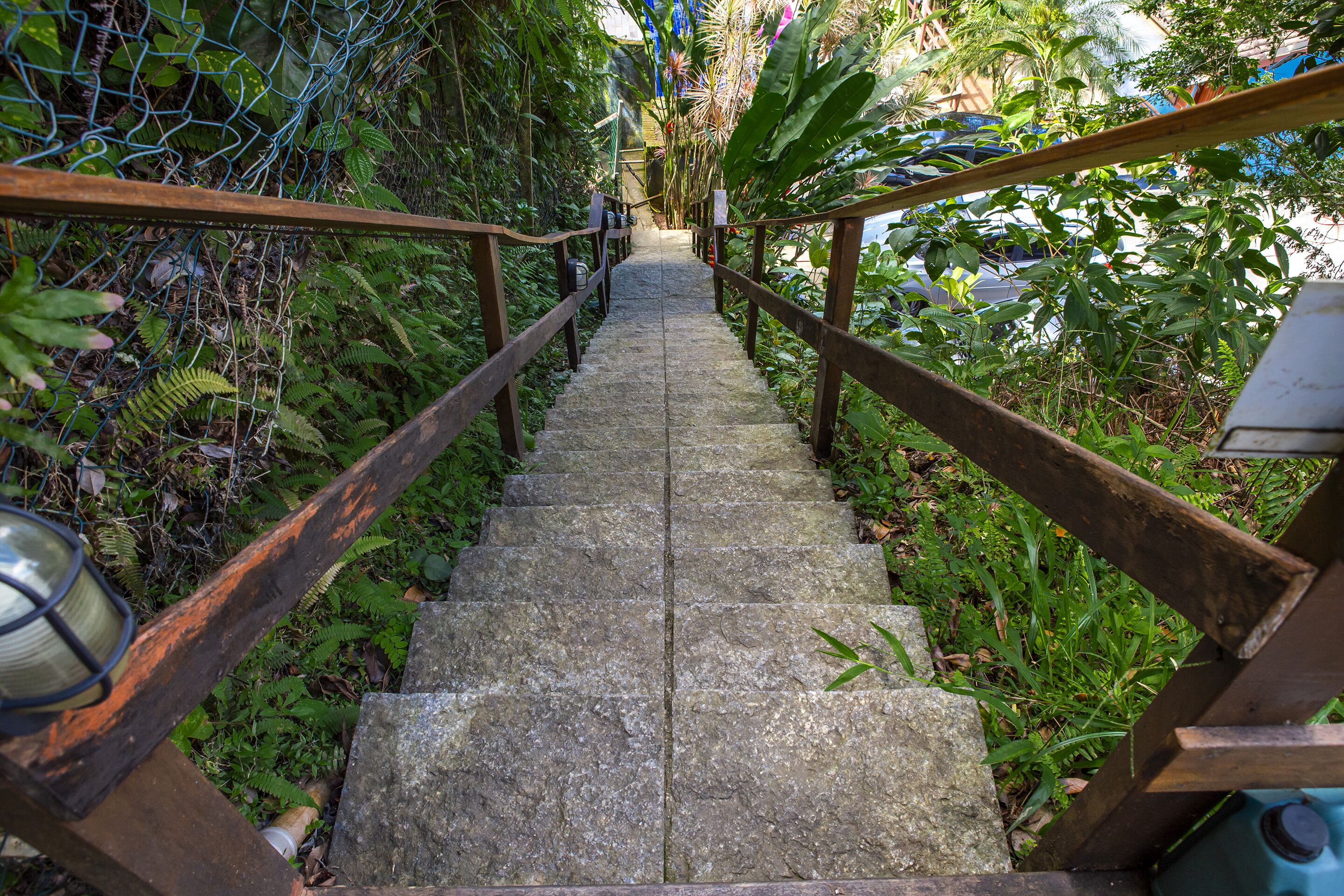 A stone staircase with wooden railings, surrounded by lush greenery and a chain-link fence.