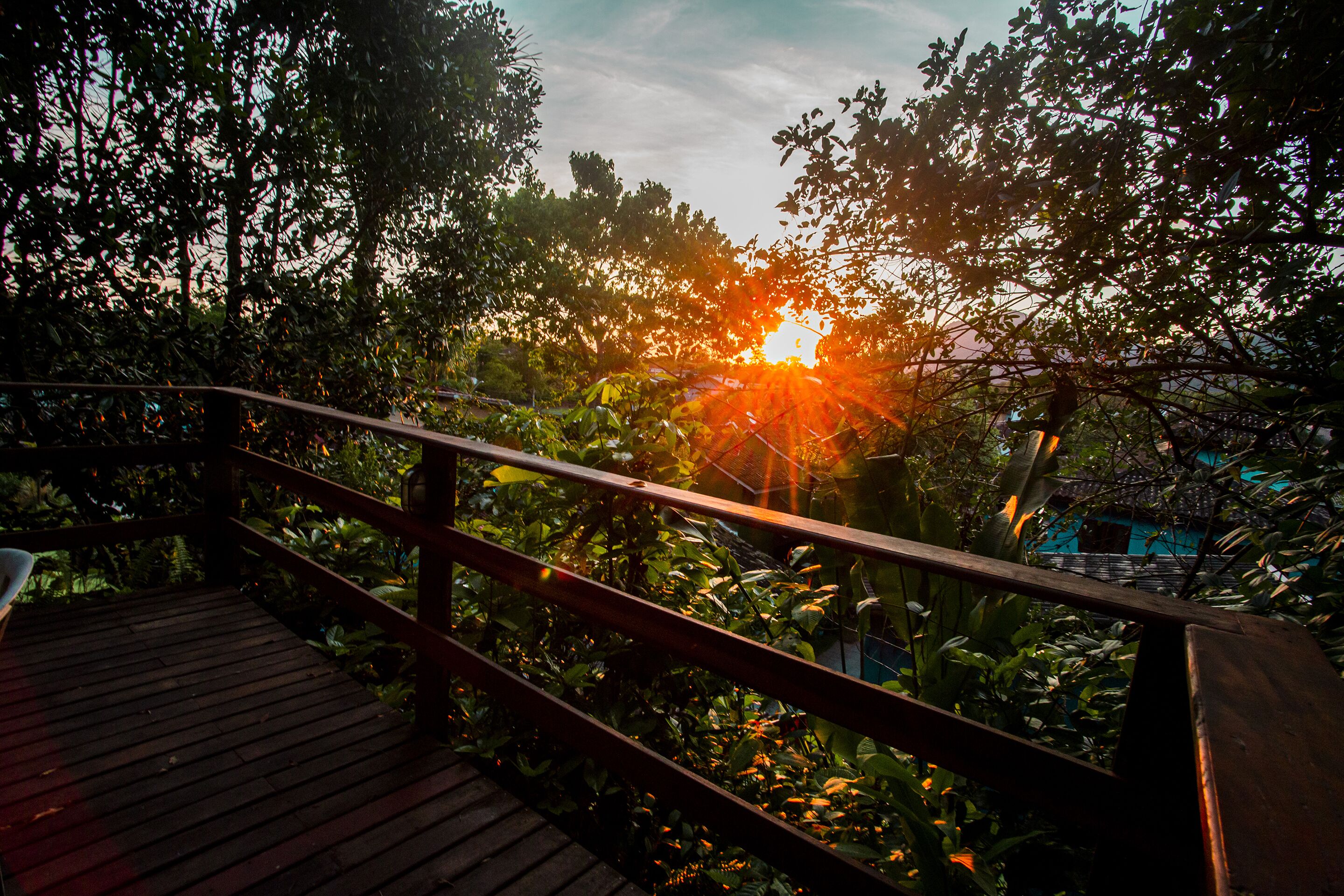 A wooden deck with a metal railing overlooking a garden with dense foliage.
