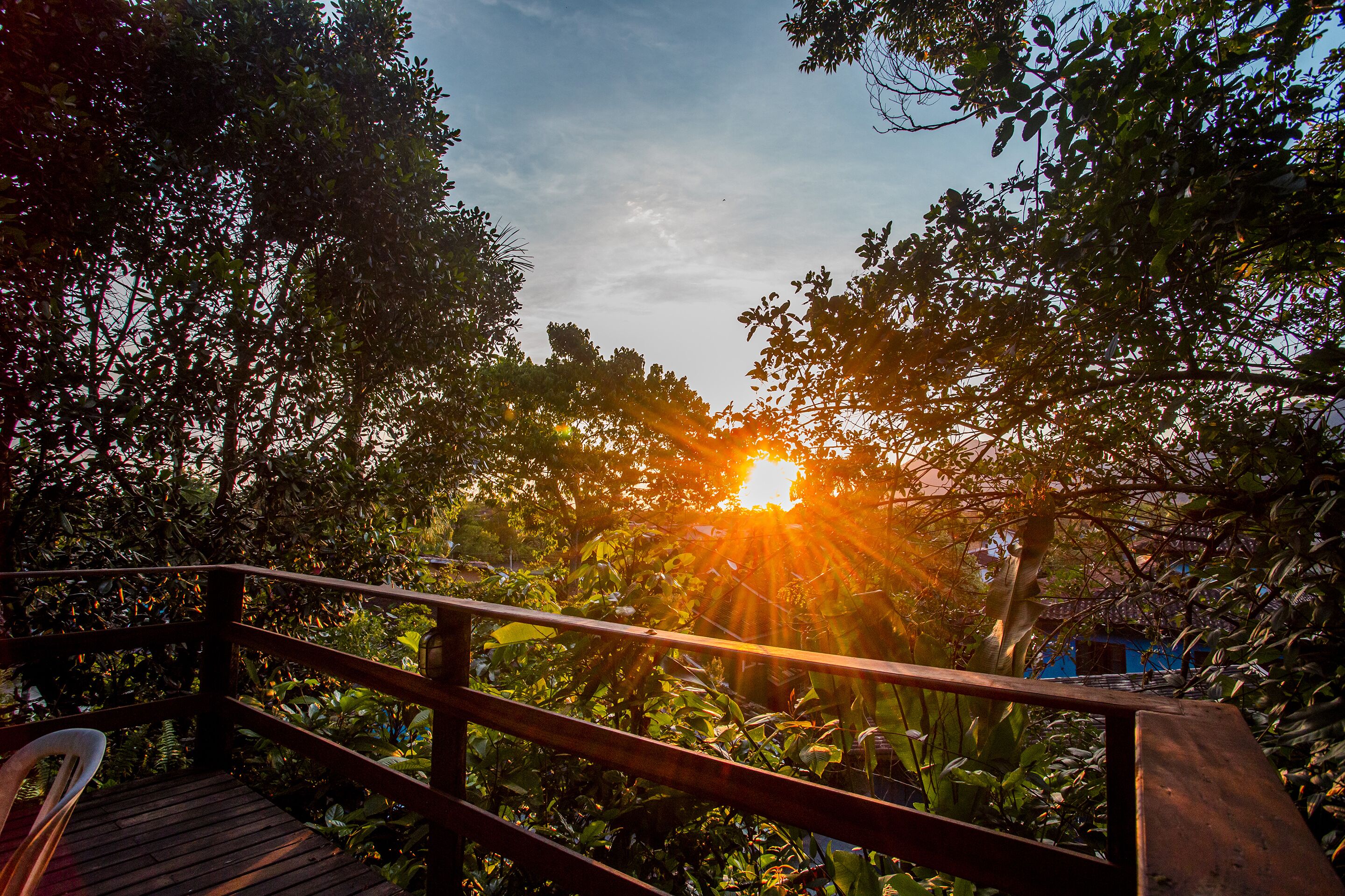 Una terraza de madera con barandilla, rodeada de vegetación densa y vistas al atardecer.
