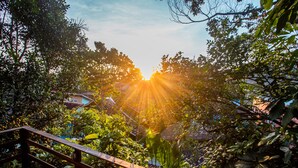 Une terrasse en bois offrant une vue sur un jardin et des maisons en arrière-plan.