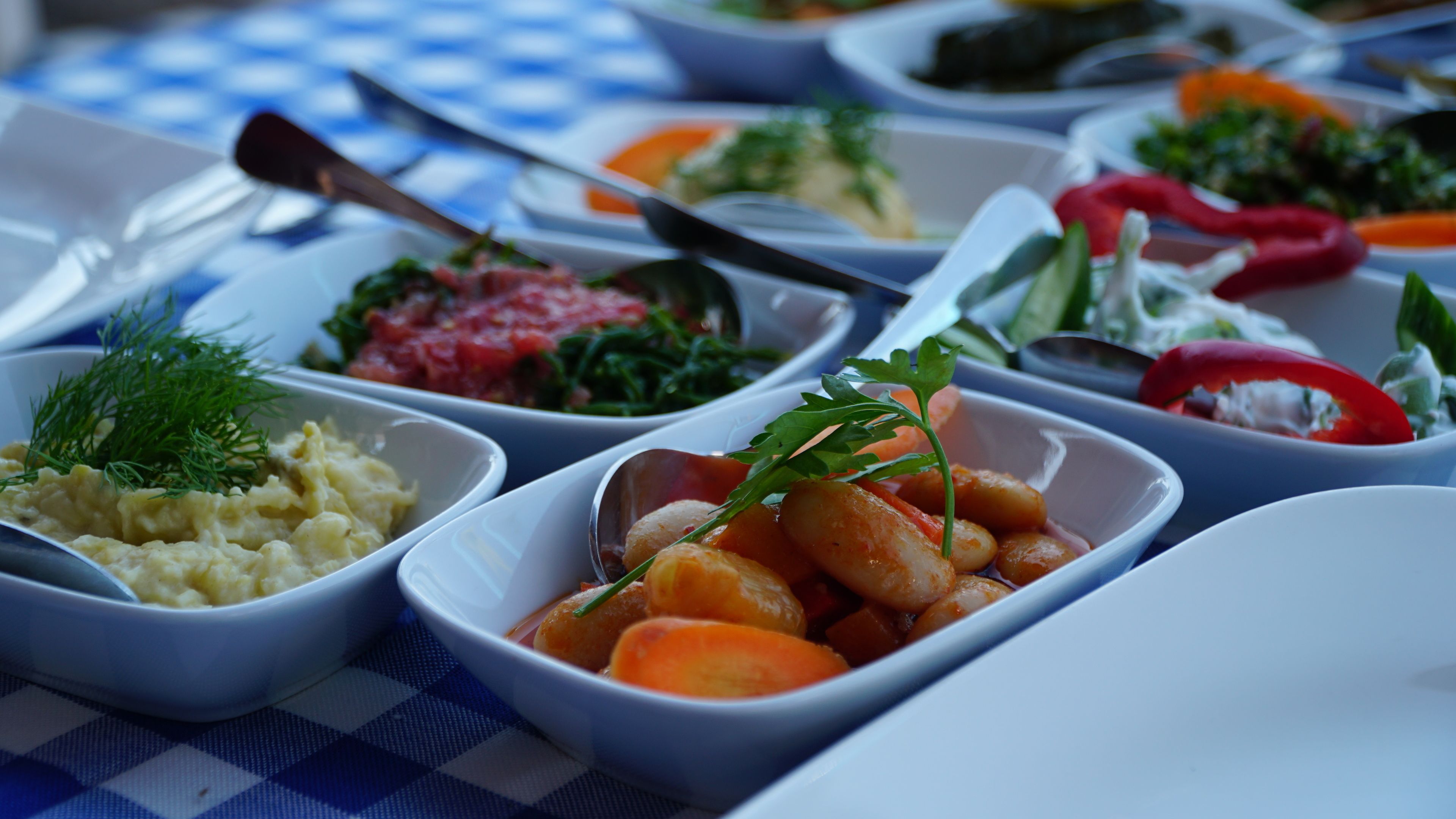 breakfast, lunch, dinner served; turkish cuisine