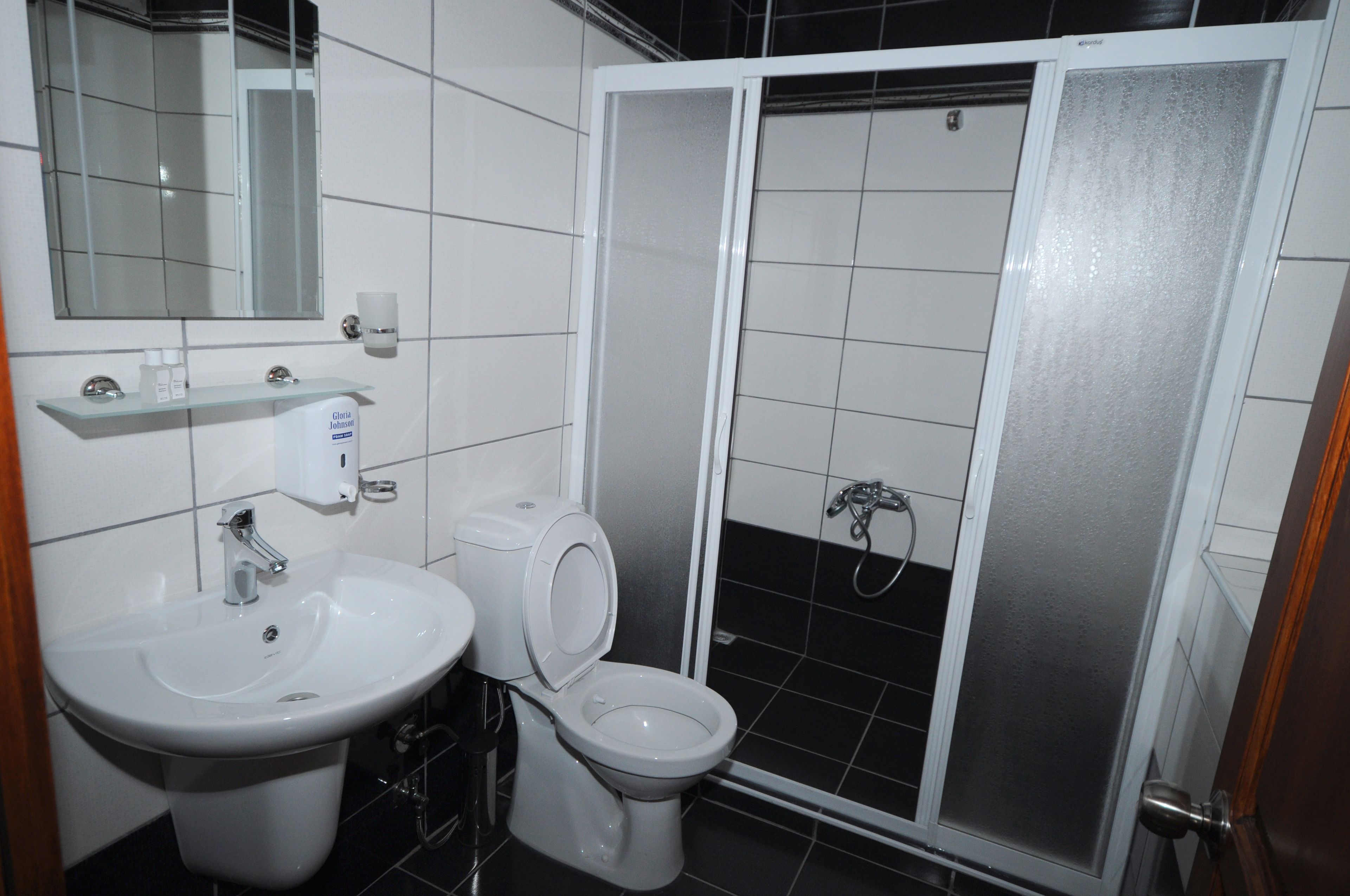 A bathroom with a white sink, a toilet, and a glass-enclosed shower.