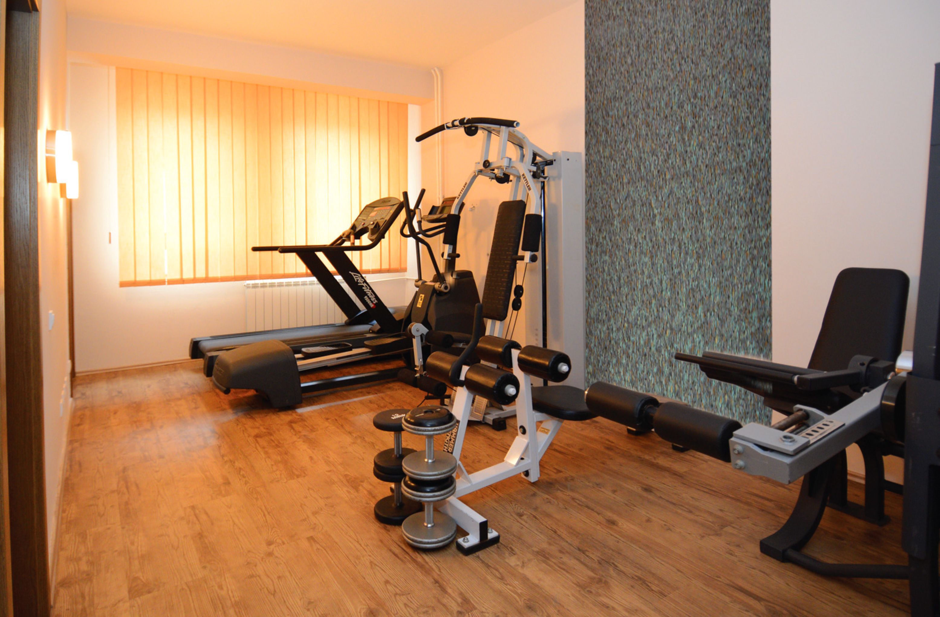 A home gym with exercise equipment including a treadmill, weight bench, and dumbbells.