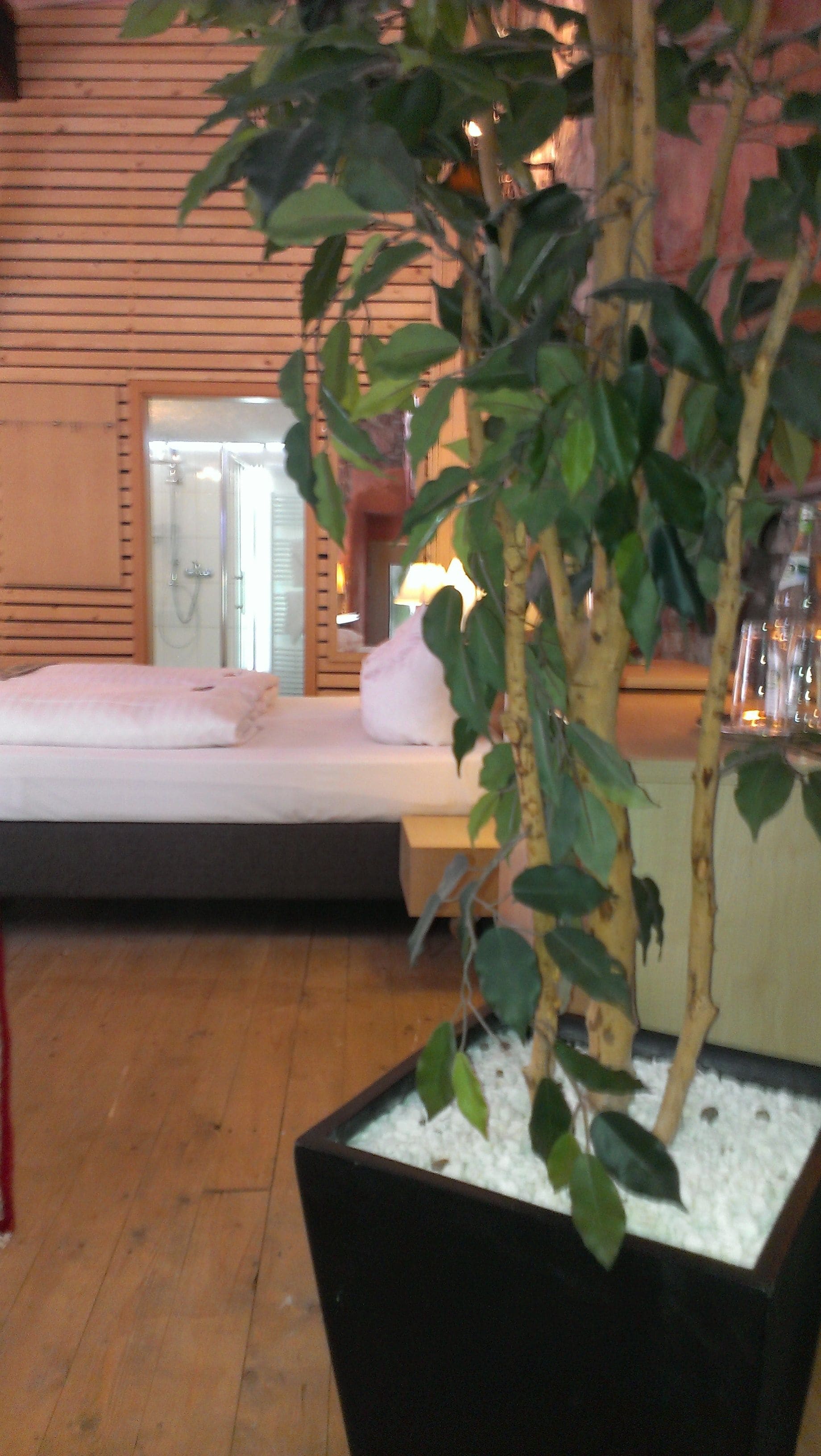 A room with a bed, a bedside table, a potted plant, and a window with blinds.