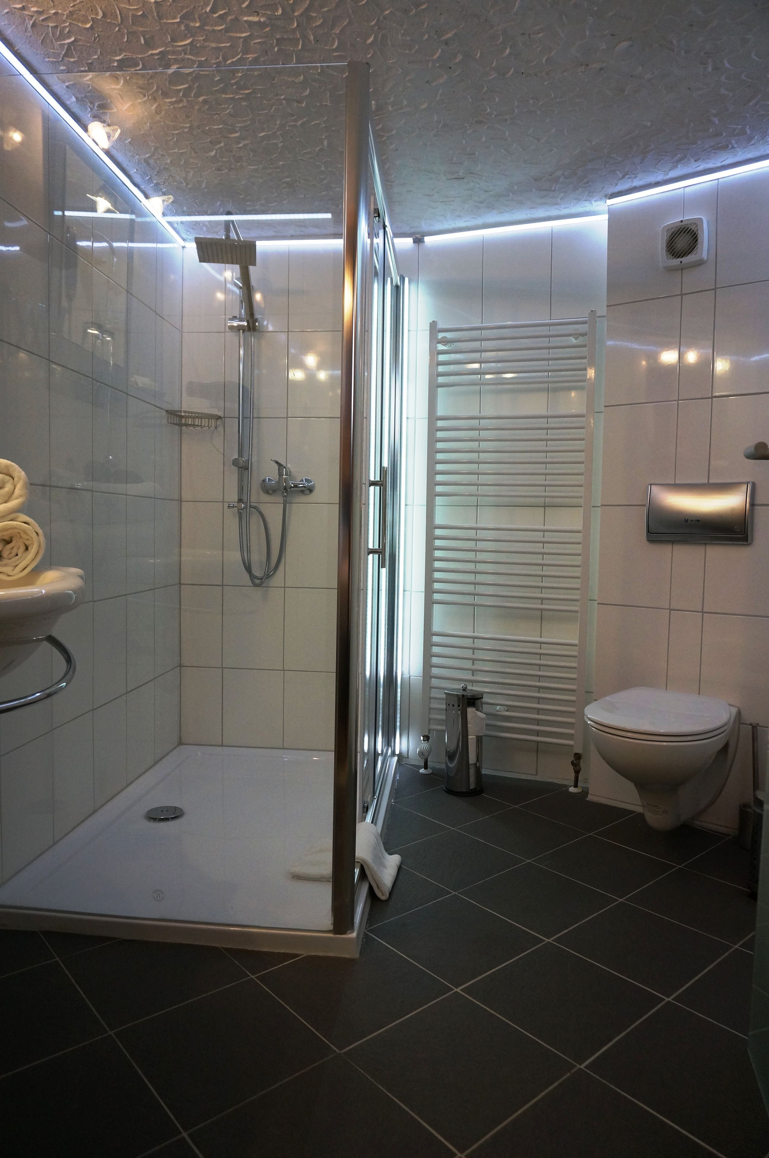 shower, free toiletries, hair dryer, towels