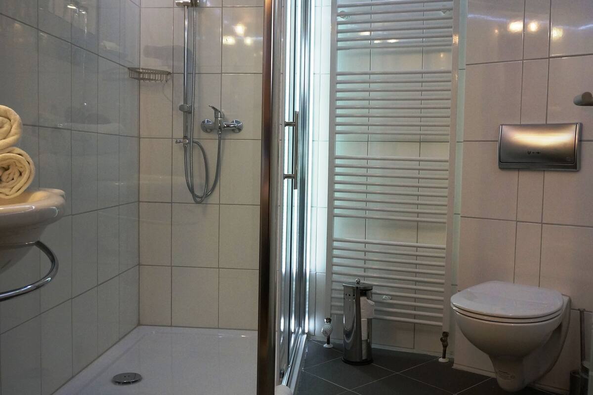 shower, free toiletries, hair dryer, towels