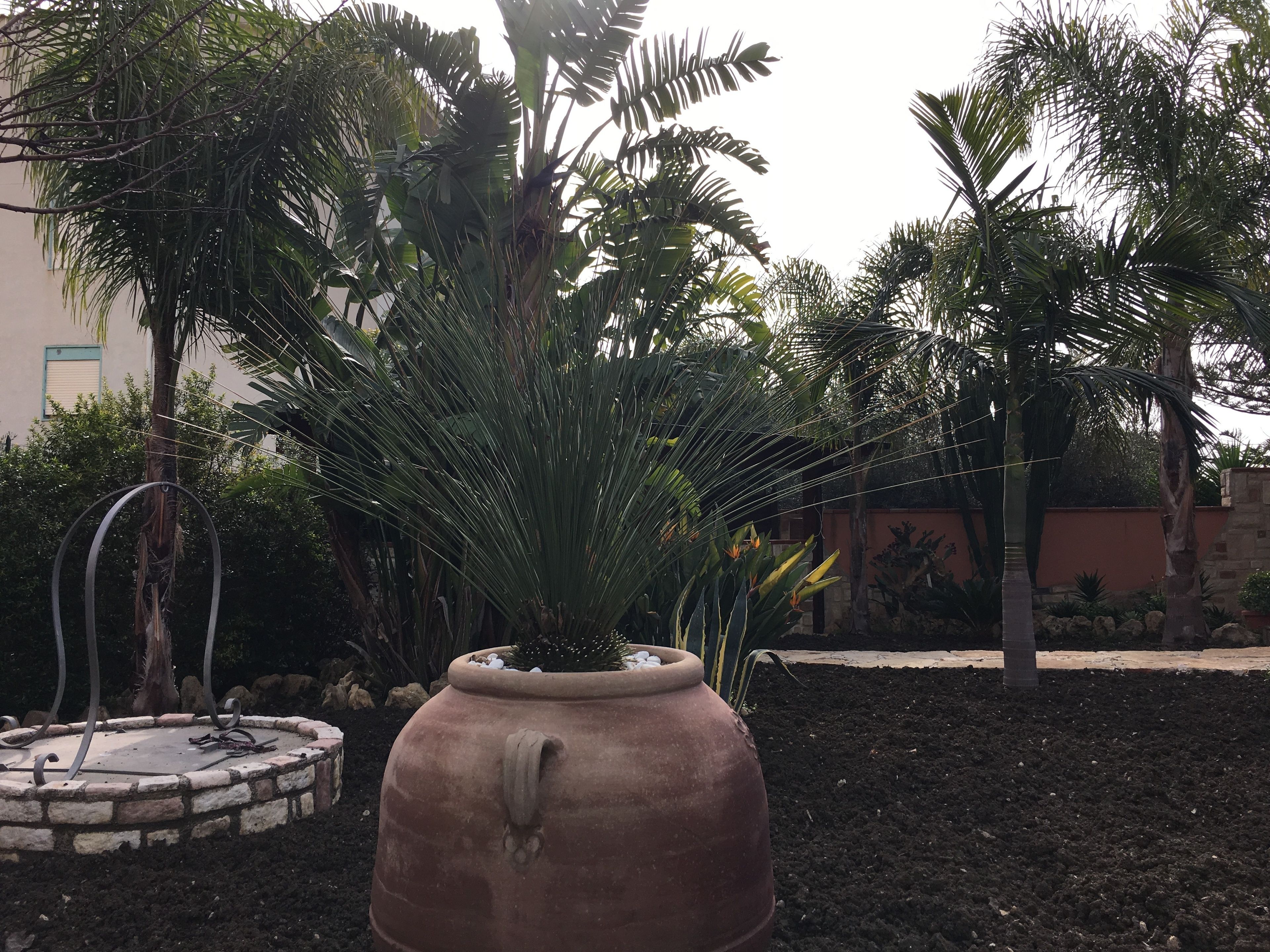 A large terracotta pot with a plant, surrounded by a brick border and a metal sculpture.