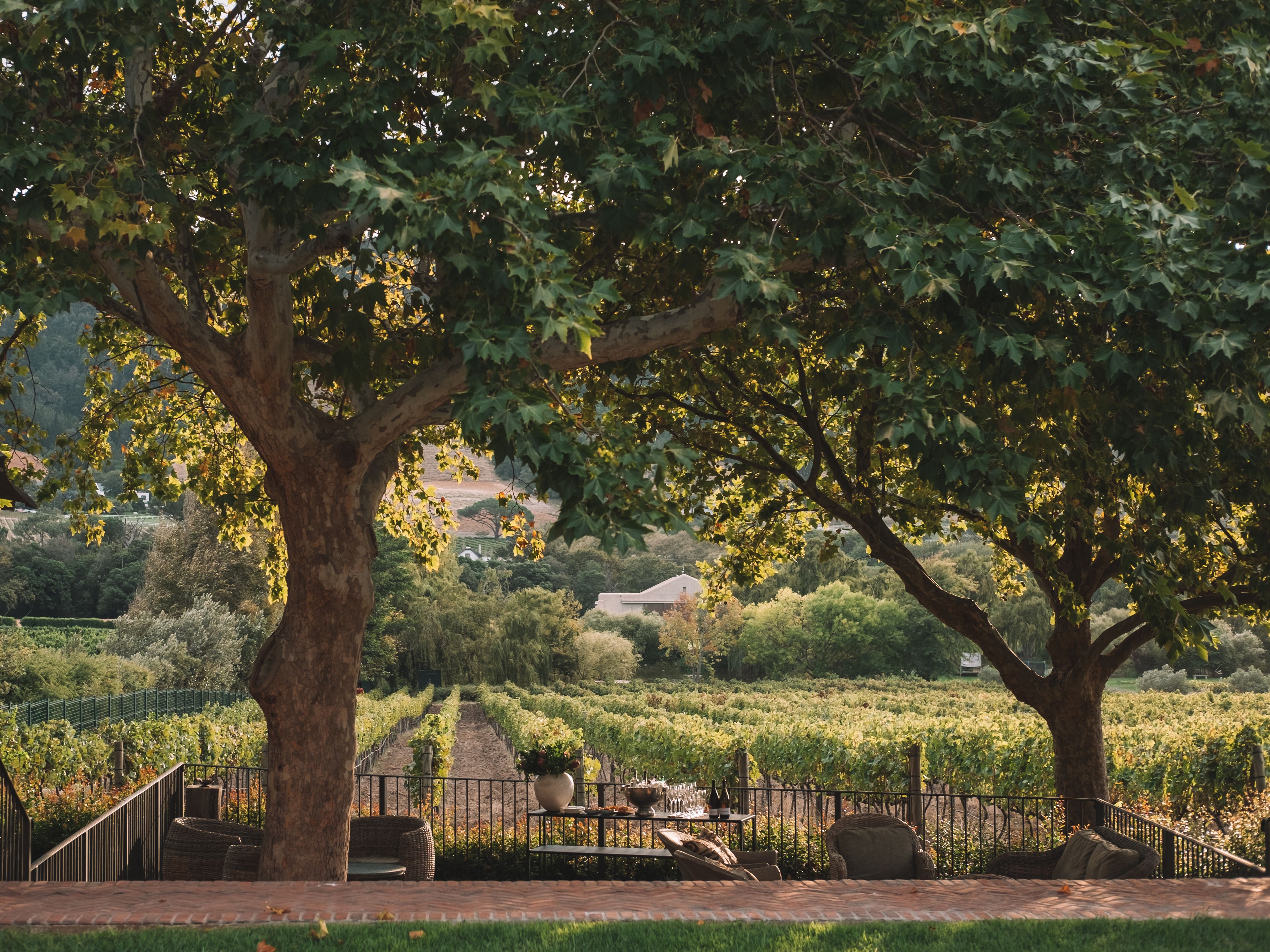 Superior-Doppelzimmer, zum Garten hin | Terrasse/Patio